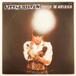 Пластинка Little Steven Voice Of America